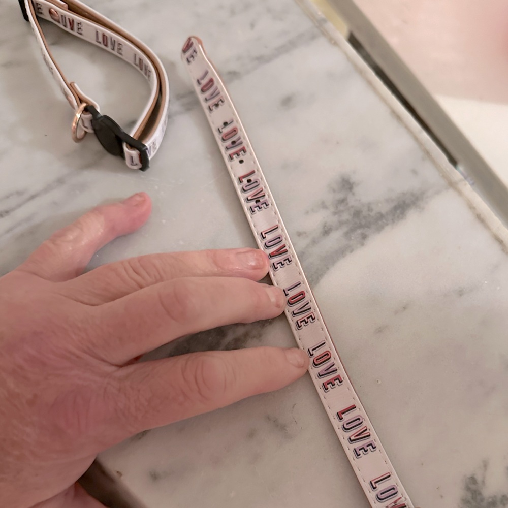 Friendship collar bracelet with matching cat collar love